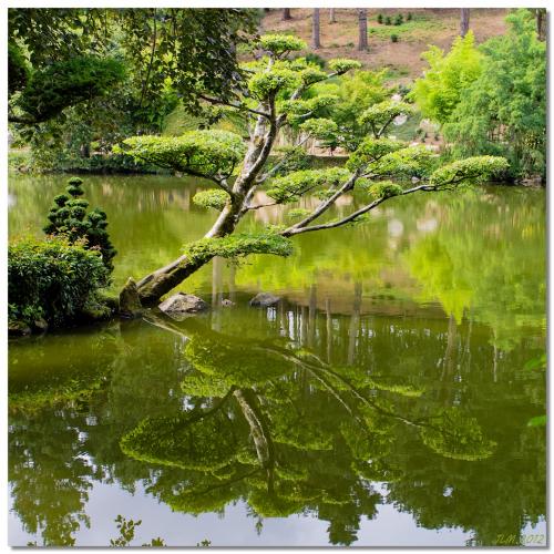 Zen, soyons Zen (II)