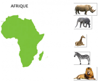 Jeu de tri des animaux par continent