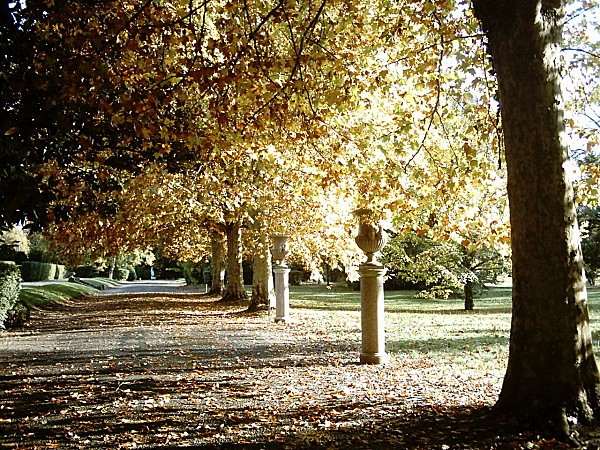 l'automne au parc9