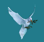 La randonnée du 10 octobre à Ver-sur-mer