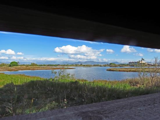 LES-ETANGS-DE-VILLEPEY