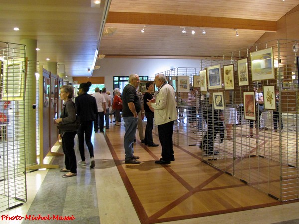 Les peintres de la Section peinture des Amis du Châtillonnais ont présenté leurs belles créations au Salon 2016