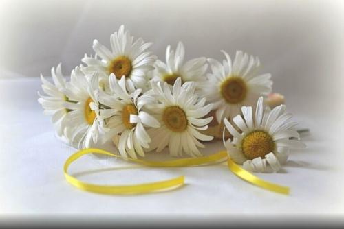 Bouquets marguerites(2)