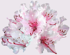 "Notes de printemps" ...