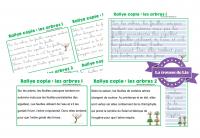 Rallye-copie arbres et forêt - La trousse de Lia