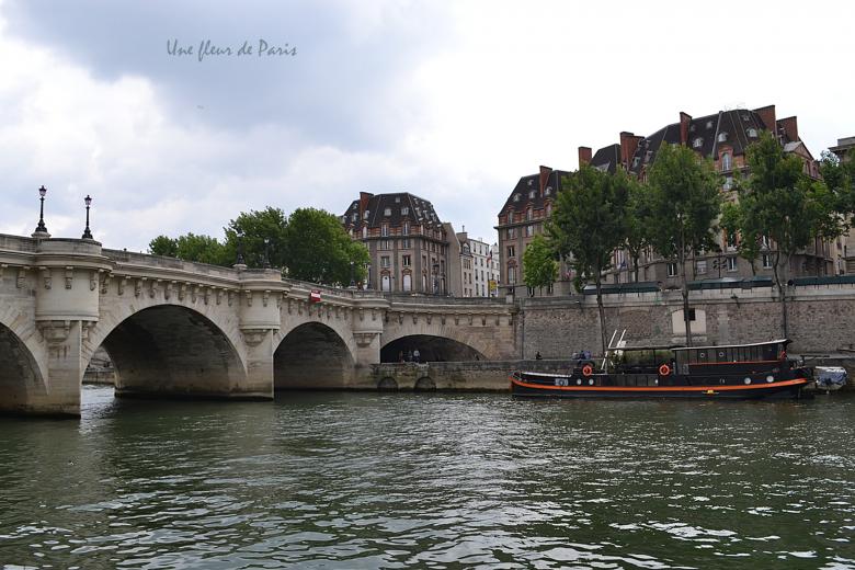 L'Île de la Cité : Le Pont Neuf