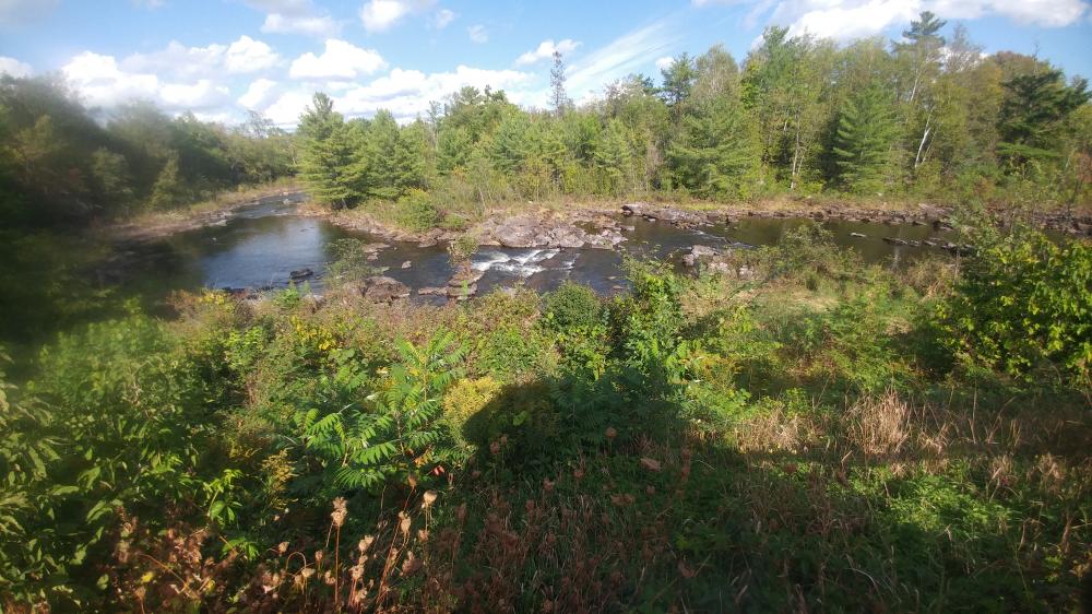 Calabogie Brewing Company with JD on September 5th 2021