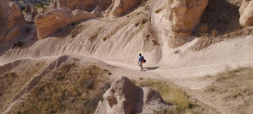 Retournons voir si la Rose...