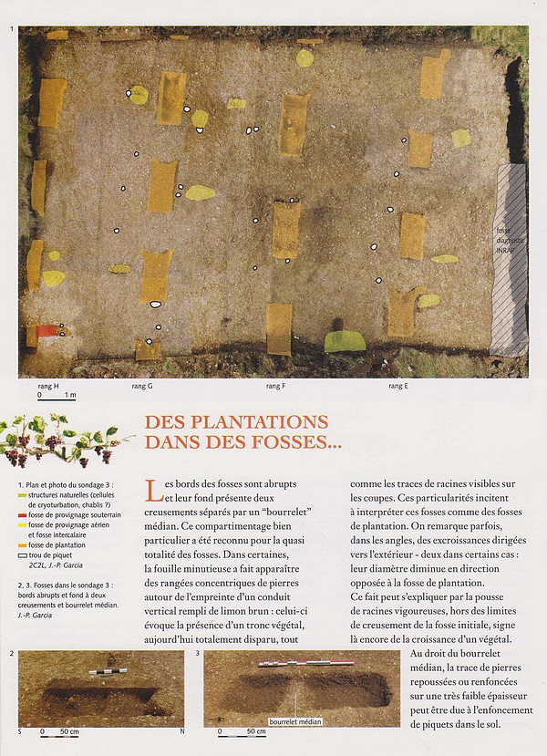 Sébastien Chevrier de L'INRAP, a présenté une conférence sur les origines de la vigne à Gevrey-Chambertin(Côte d'Or)
