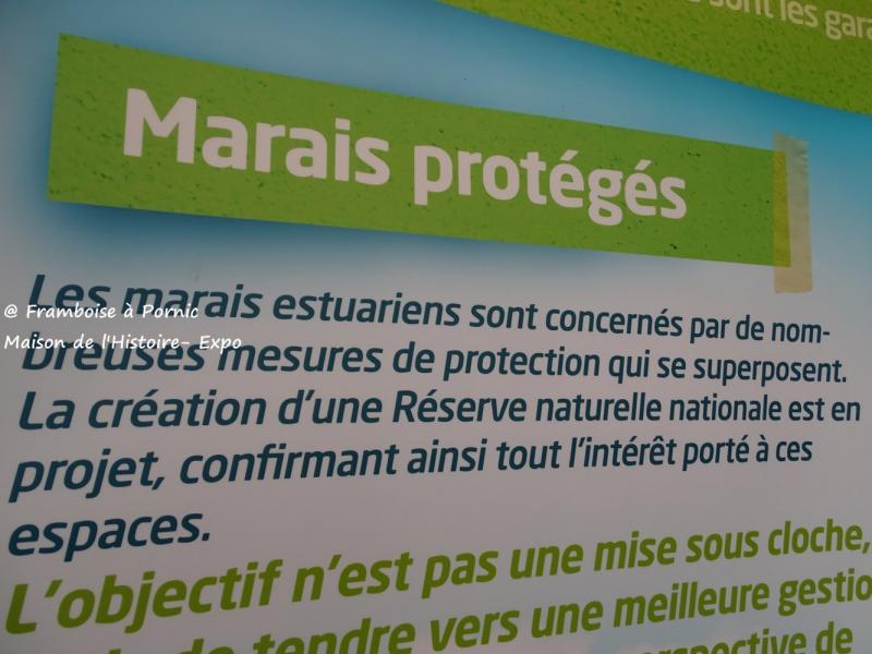 Exposition Marais estuariens - Maison de l'Histoire