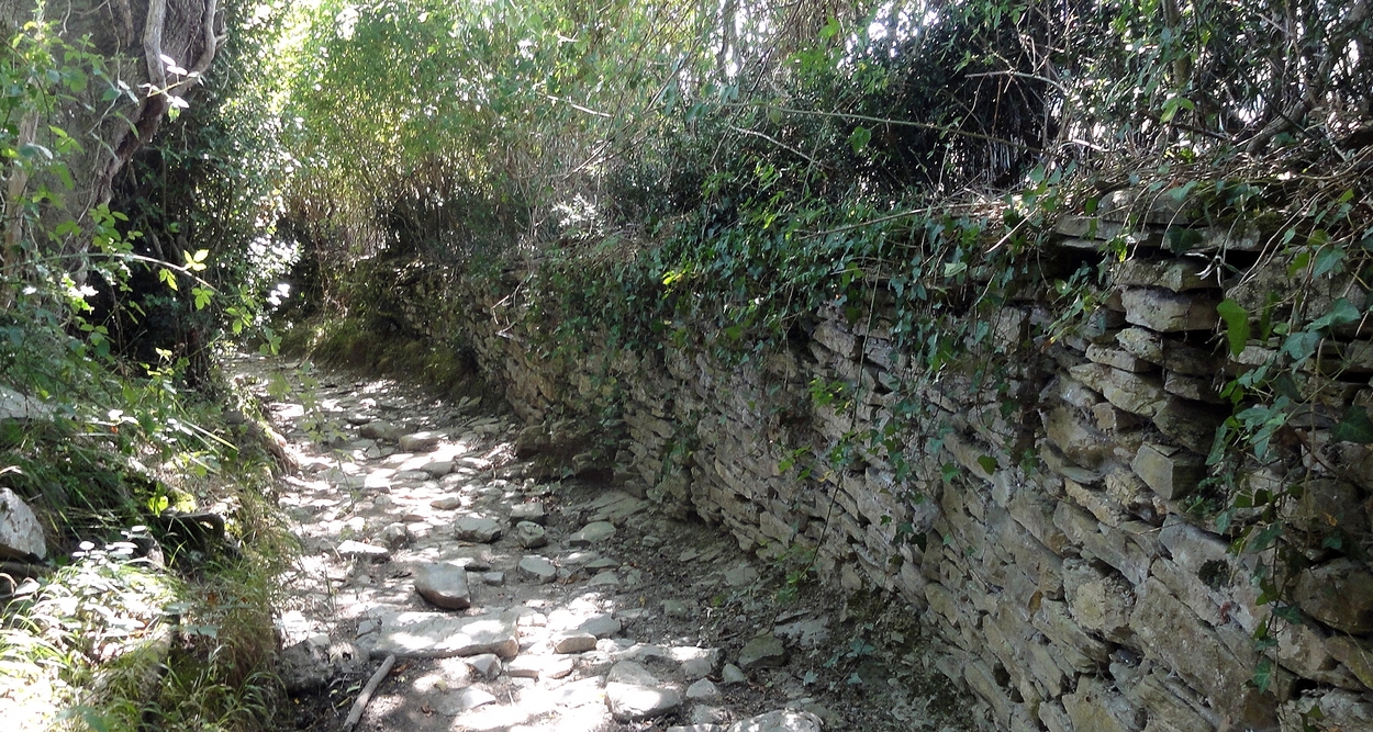 Saint Jacques, 11 août, de Bohoteguia à Ostabat : 23,7 Km 2ème partie