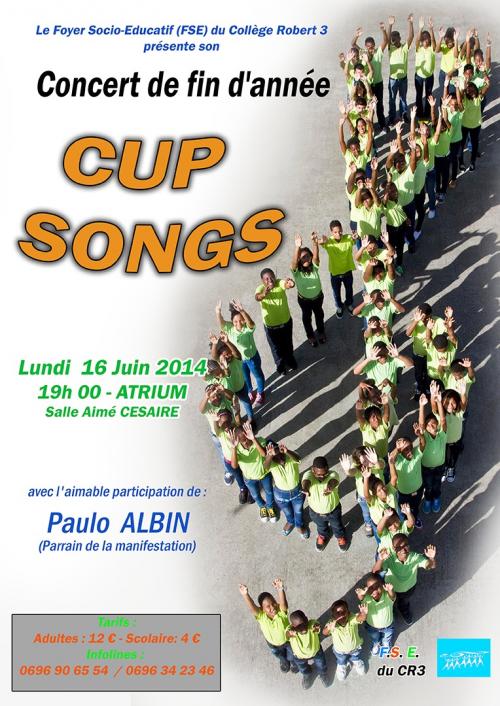 Cup song ! concert du collège Robert 3