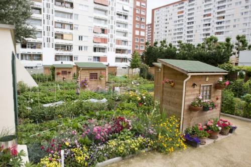 La nature en ville