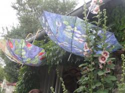 Les Nymphéas de Claude Monet l'Oeuvre