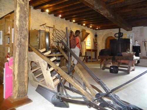 Une belle balade à Chaumont le bois et Vannaire, guidée par Anne Bouhélier