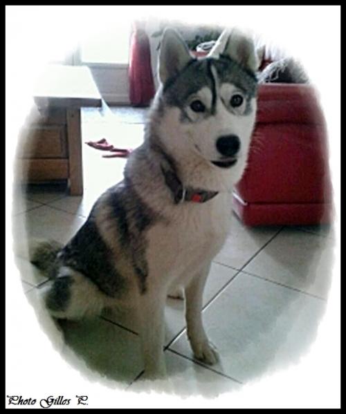 Iska (14,5 mois)