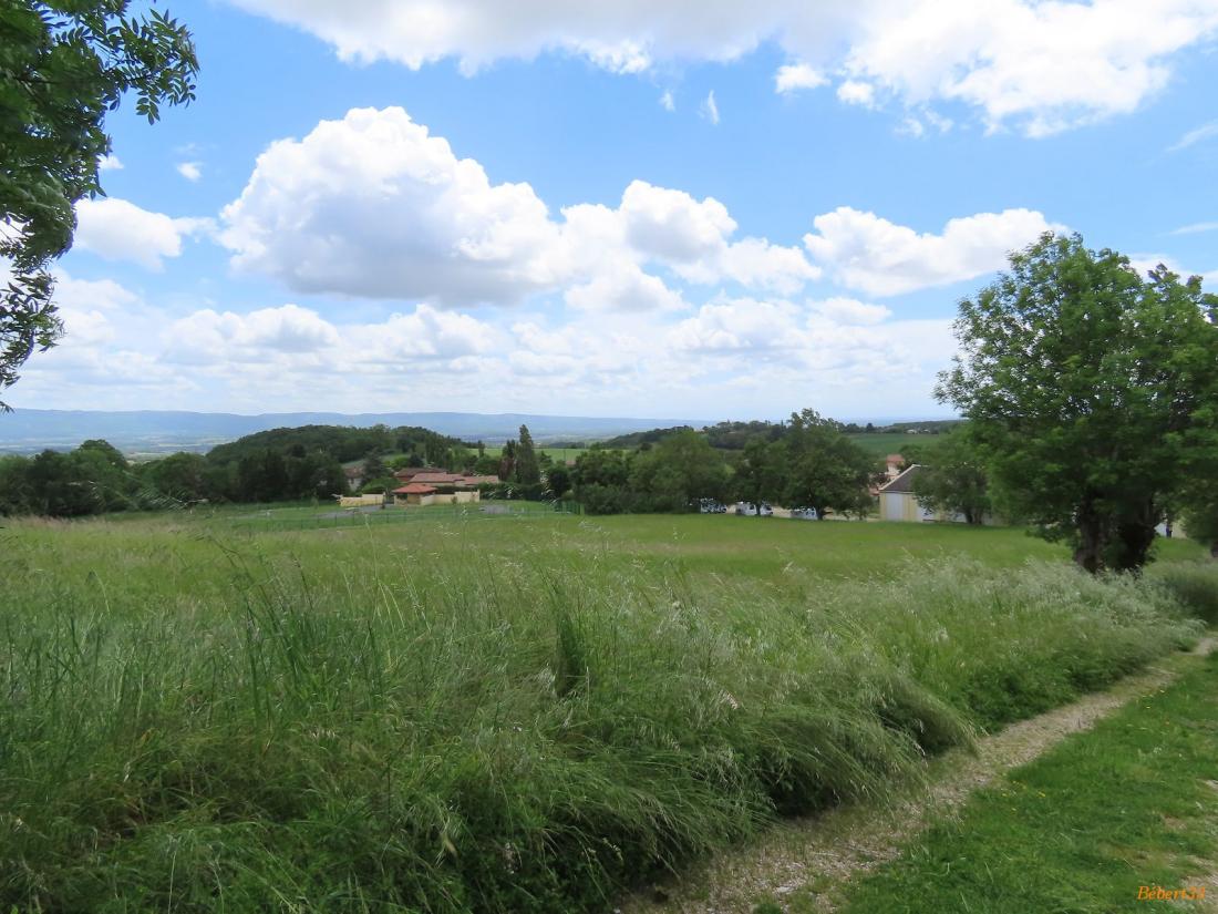 une pause à Puylaurens