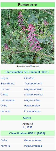 Fumeterre