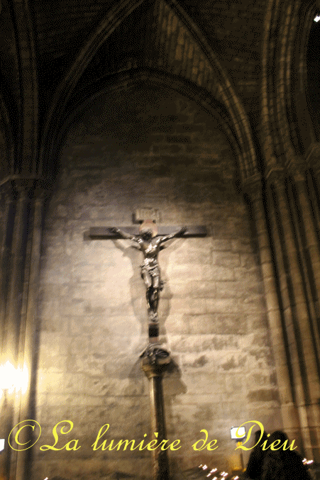 La cathédrale Notre-Dame de Paris