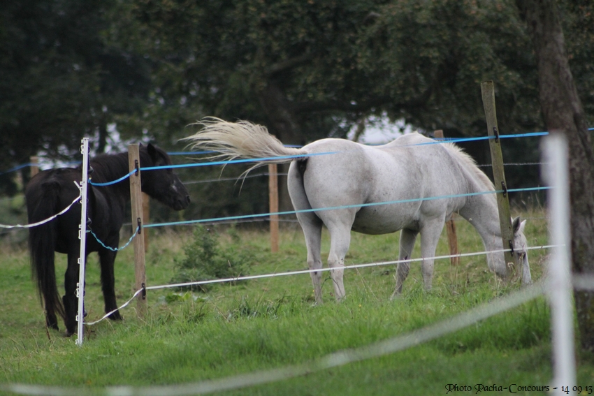 doudou & black 14/09/13