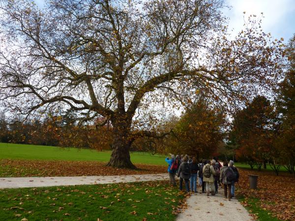 Le Parc Culturel de Rentilly