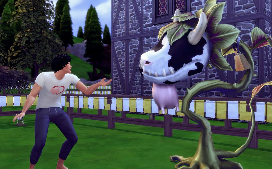 [CALF] Printemps 3 - Semaine 12 - Jours 79 à 82