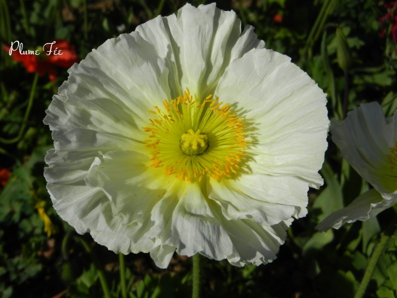 Image001.jpg