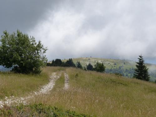 Le Cairn 2000