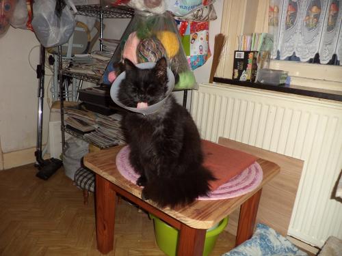 Rhaaaa! Je suis fatiguée!