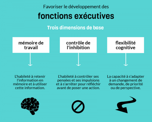 Les fonctions exécutives