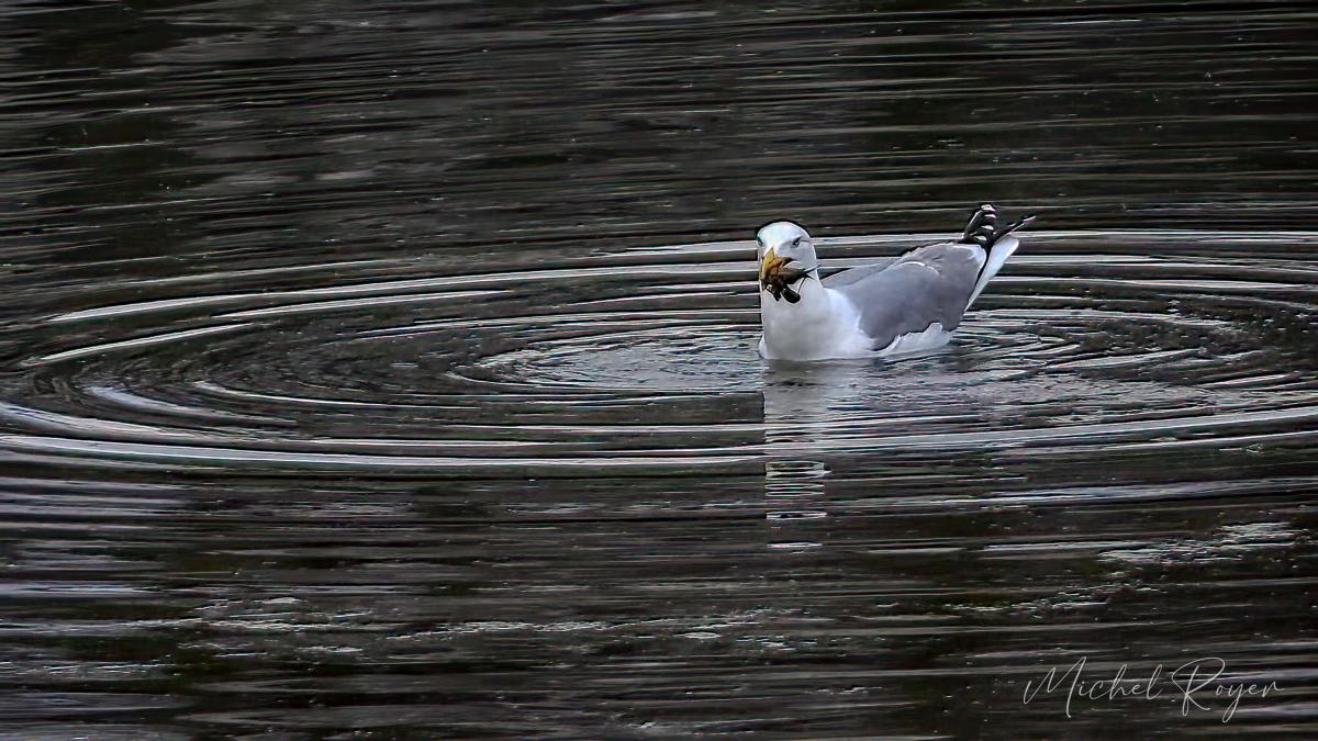 A L'Ecopôle du Val d'Allier dernièrement