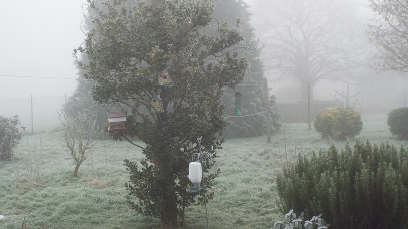 Brouillard 