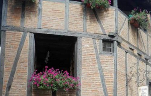 Albi  (Tarn)