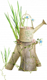 La pointe de la saveur ... "l'asperge" ...