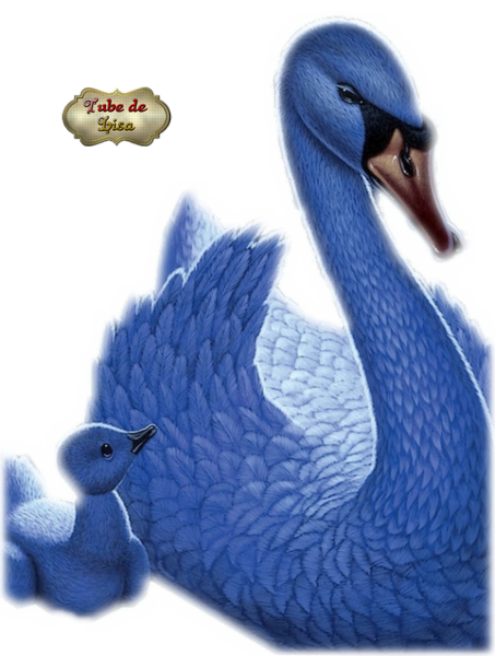 Animaux série 1