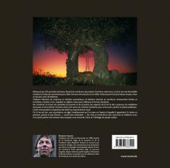 Parc d'Enghien - La Mémoire des Arbres