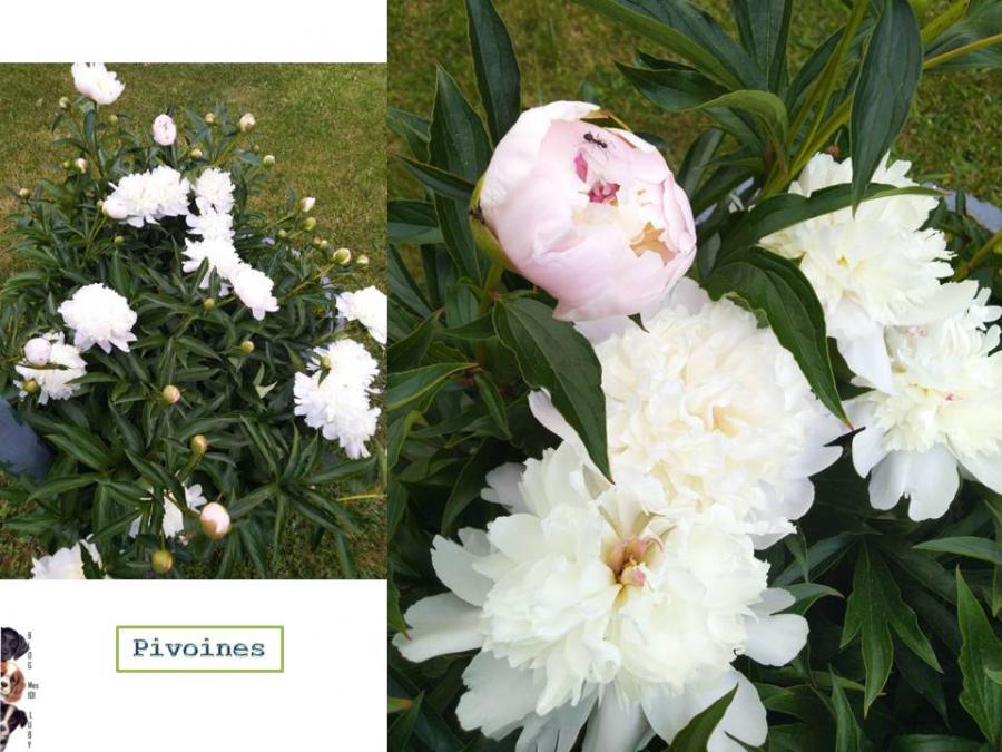 Mon univers au 17/5/2022
