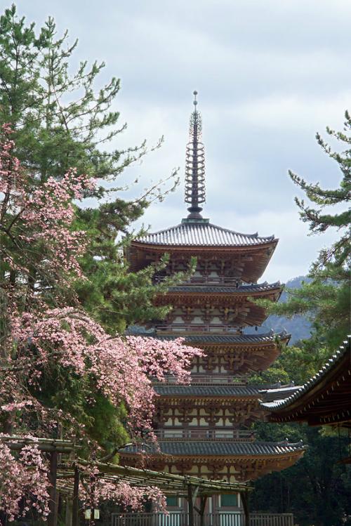 Patrimoine mondial de l'Unesco : Les monuments historiques de Kyoto - Japon - 1ere partie