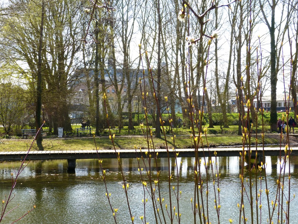 Images insolites du printemps