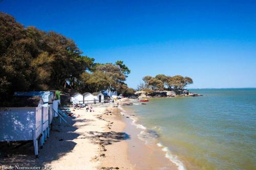 Ile de Noirmoutier  ( Vendée )