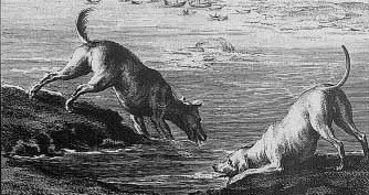 Les deux chiens et l ane mort-copie-1