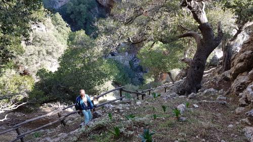 Les gorges de PLATANIA, suite...