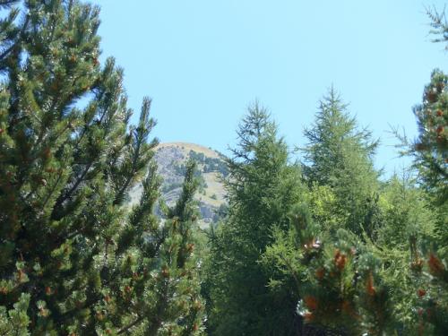 Pic de Bernardez (Seyne les Alpes)