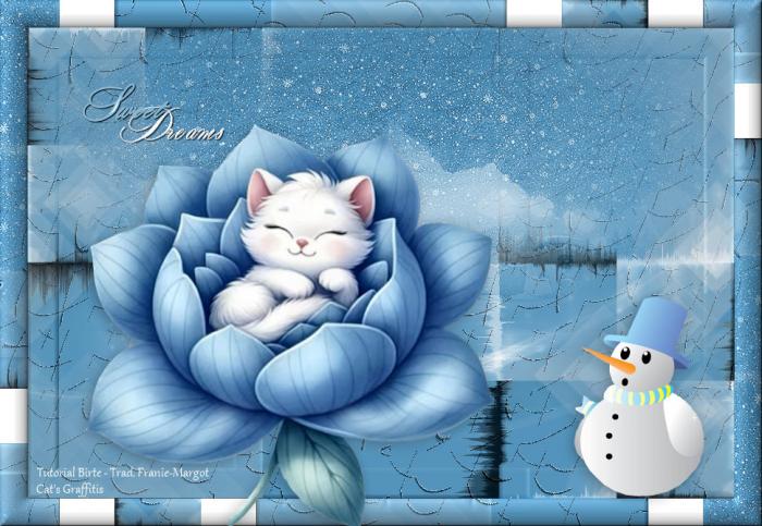 Sweet Dreams