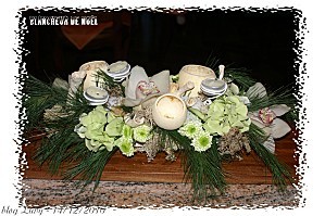 2010 14 12 blancheur de noel 1