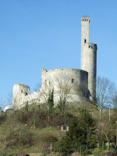 Albi  (Tarn)