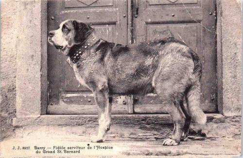 Saint-Bernard
