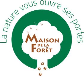 Les activités à la Maison de la Forêt de Leuglay...