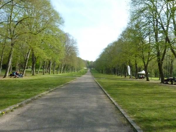 Randonnée en forêt de Chamarandes
