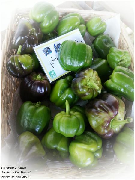 Les bons légumes du Pré Pichaud à Arthon en Retz 